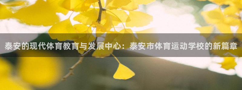 JJB竞技宝官网下载联系电话:泰安的现代体育教育与发展中心: