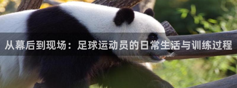 JJB竞技宝官网下载招商电话号码是多少:从幕后到现场:足球运