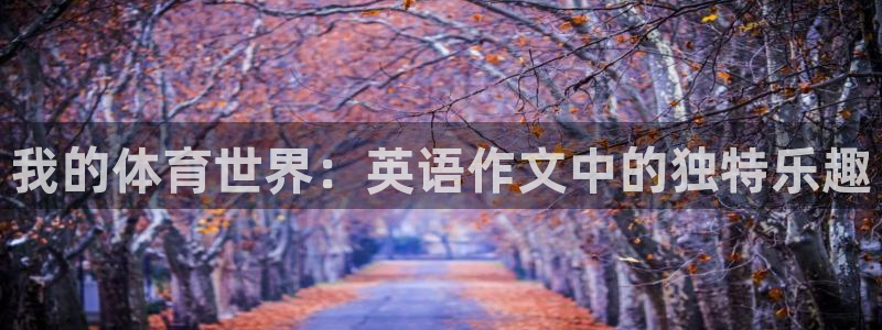 JJB竞技宝官网下载平台注册要钱吗安全吗:我的体育世界:英语