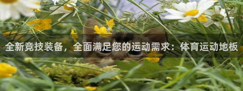 JJB竞技宝官方正版app科技:全新竞技装备,全面满足您的运