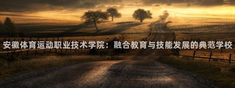 JJB竞技宝官方正版app娱乐网站:安徽体育运动职业技术学院